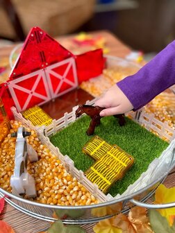 MAGNA-TILES&reg; Farm Animals 25 piece